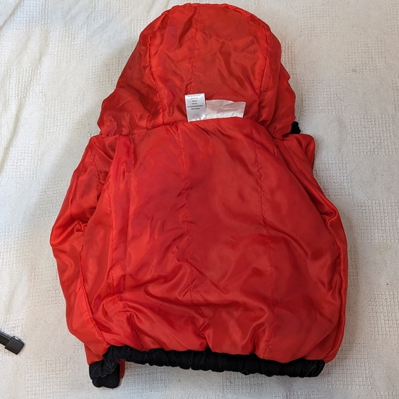 Halloween Ladybug costume - Picture 4 of 5